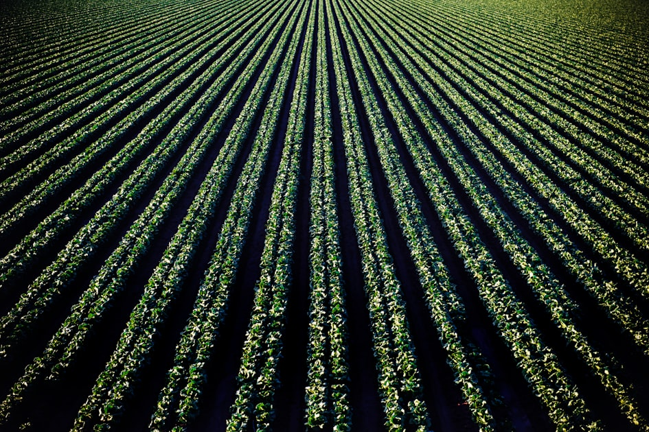 Sustainable Farming Practices