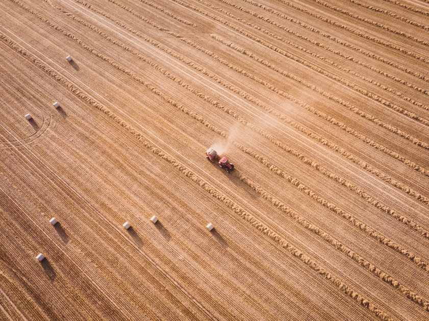Maximizing Agricultural Investment